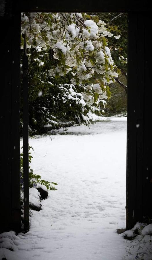 Arden Country House Bnb - Entire House To Yourself -Peace In The Country ديوندين المظهر الخارجي الصورة