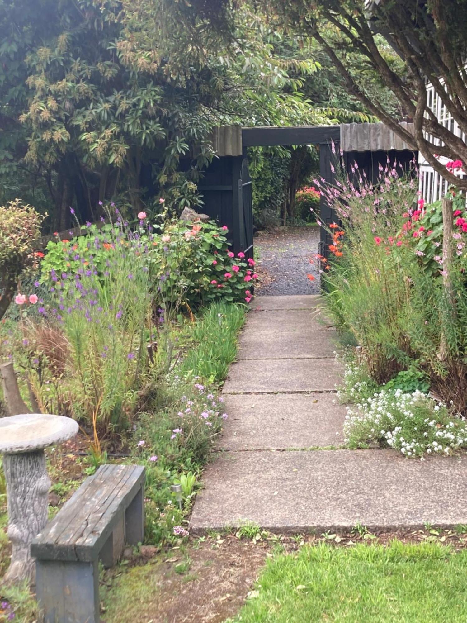Arden Country House Bnb - Entire House To Yourself -Peace In The Country ديوندين المظهر الخارجي الصورة