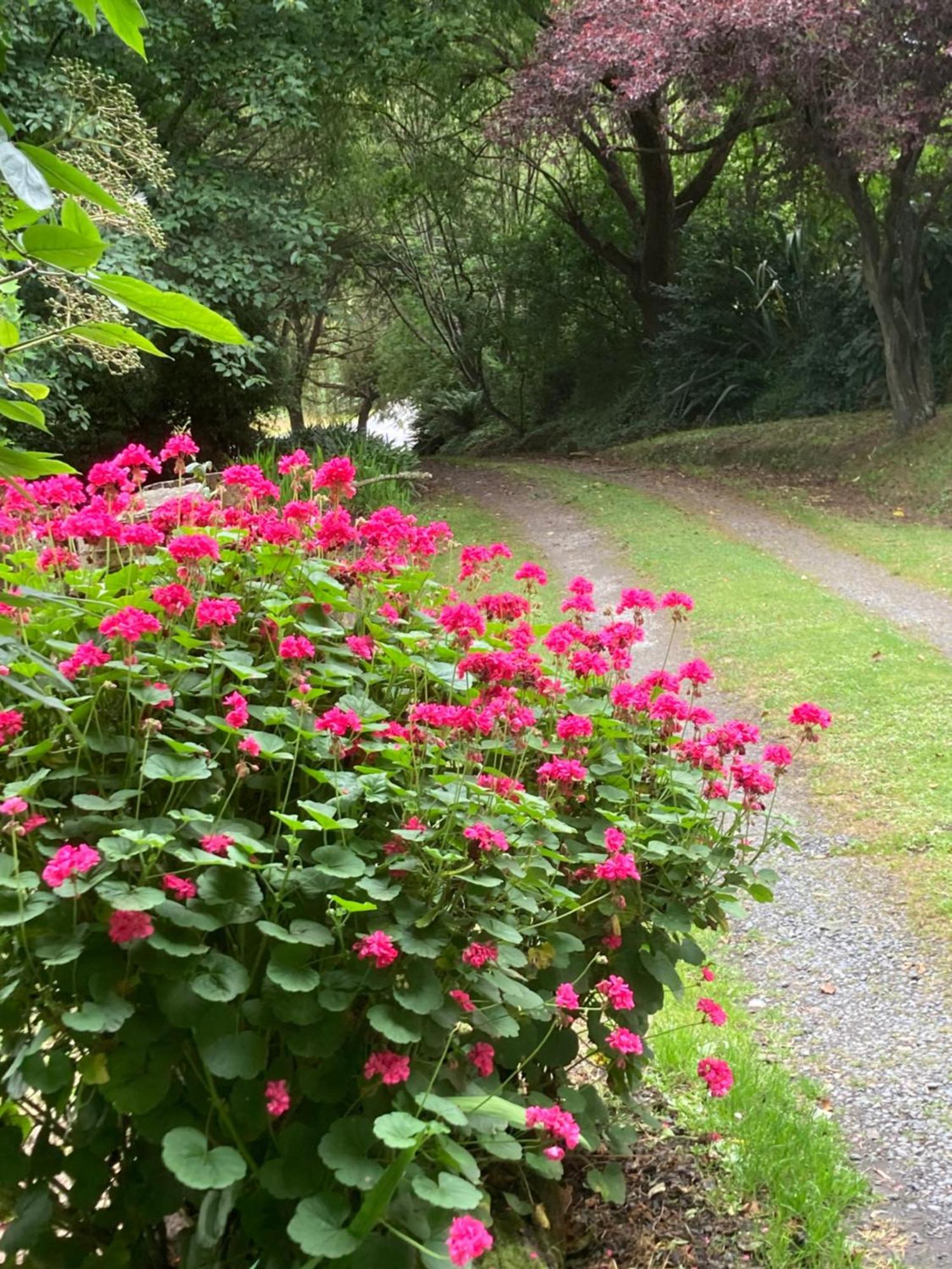 Arden Country House Bnb - Entire House To Yourself -Peace In The Country ديوندين المظهر الخارجي الصورة