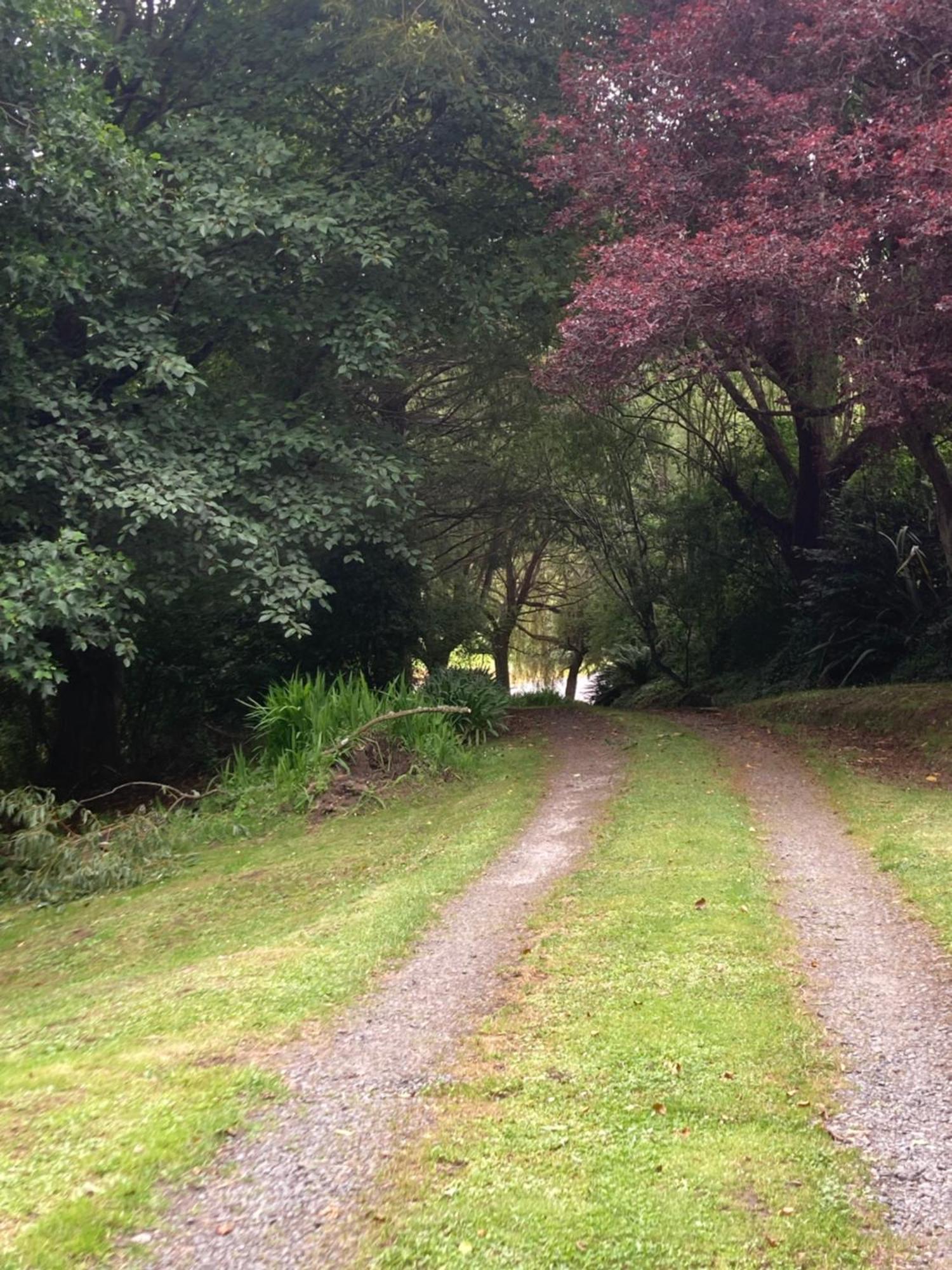 Arden Country House Bnb - Entire House To Yourself -Peace In The Country ديوندين المظهر الخارجي الصورة